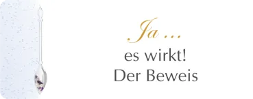 Gutachten - der Beweis